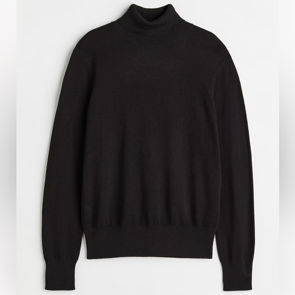 H&M Fine-Knit Turtleneck Sweater